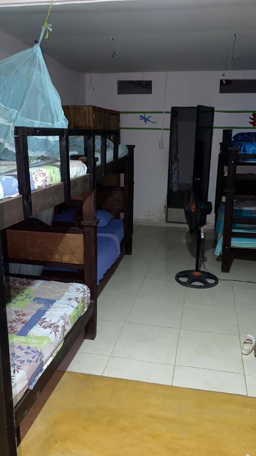 Palomino Hostel Екстер'єр фото